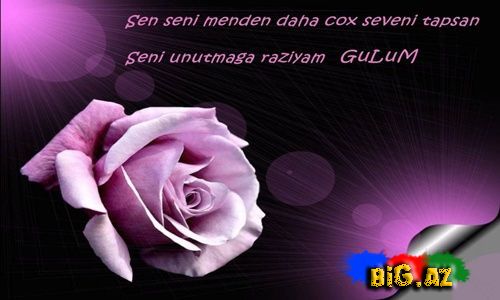 Gülüm (Yazılı şəkillər)