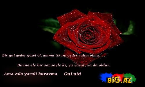 Gülüm (Yazılı şəkillər)