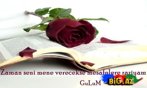 Gülüm (Yazılı şəkillər)