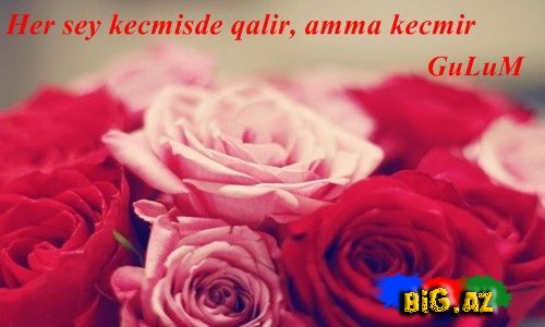 Gülüm (Yazılı şəkillər)