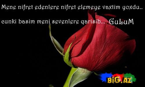 Gülüm (Yazılı şəkillər)