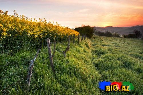 Maraqlı və gözəl fotolar 