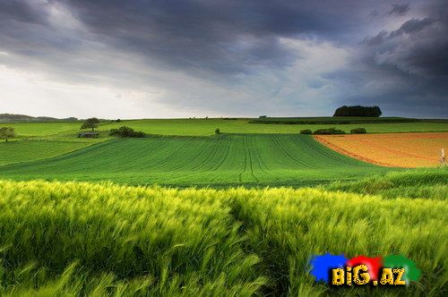 Maraqlı və gözəl fotolar 