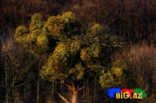 Maraqlı və gözəl fotolar 