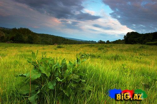 Maraqlı və gözəl fotolar 