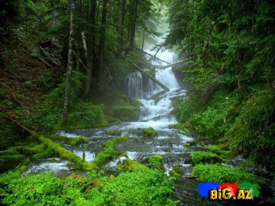 Maraqlı və gözəl fotolar 