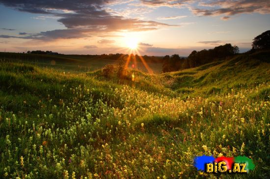 Maraqlı və gözəl fotolar 