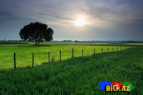 Maraqlı və gözəl fotolar 