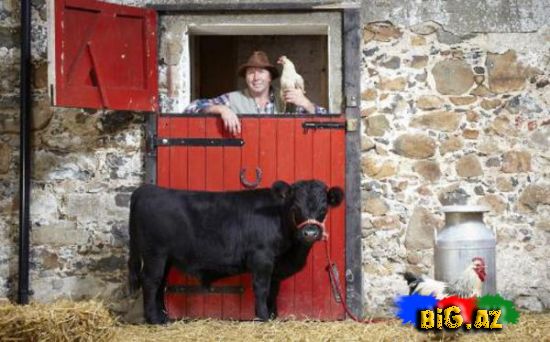 2013 Ginnesin Rekordlar kitabına düşənlər