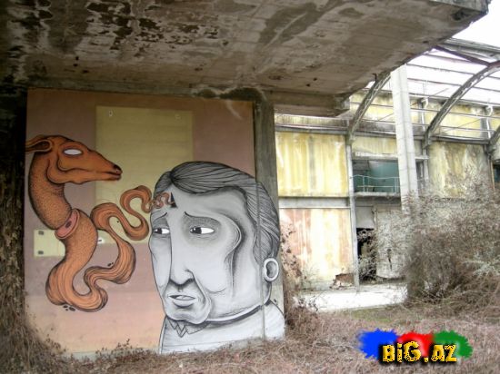 Rəssamın sosial vandalizmi (Foto)