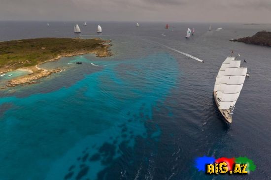 Malta Şahini: Ən böyük yelkənli yaxta (Foto+Video)