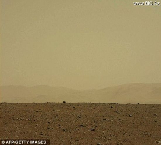 Marsda qeyri-adi kəşf: Çiçək tapıldı (Foto)