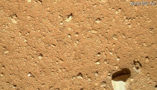 Marsda qeyri-adi kəşf: Çiçək tapıldı (Foto)