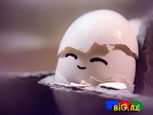 Yumurtaları heç belə gördünüzmü? (Foto)