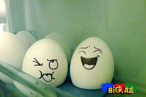 Yumurtaları heç belə gördünüzmü? 2 (Fotolar)