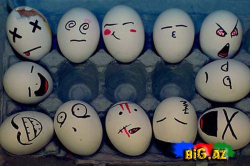 Yumurtaları heç belə gördünüzmü? 2 (Fotolar)