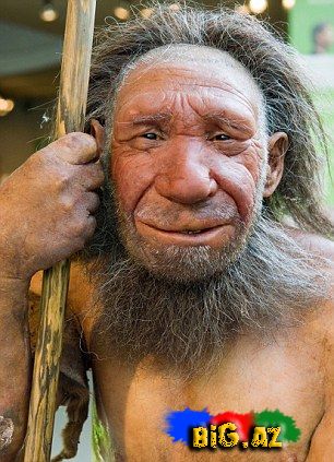 Neandertal insan doğulacaq (fotolar)
