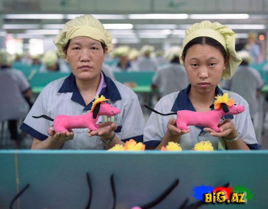 "Made in china" oyuncaq fabrikindən görüntülər (Fotolar)