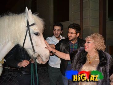 Bu da oldu: аğ atlı İlhamə Quliyeva