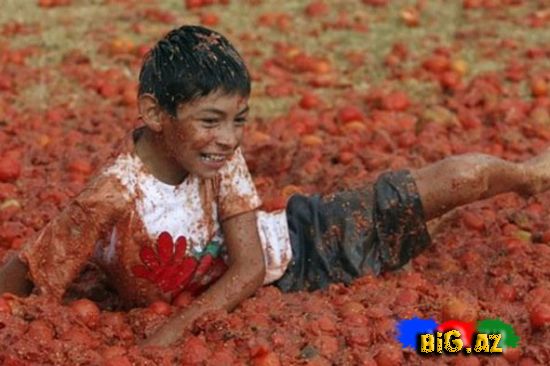Çilidə pomidor döyüşü festivalından (Fotolar)