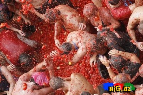 Çilidə pomidor döyüşü festivalından (Fotolar)