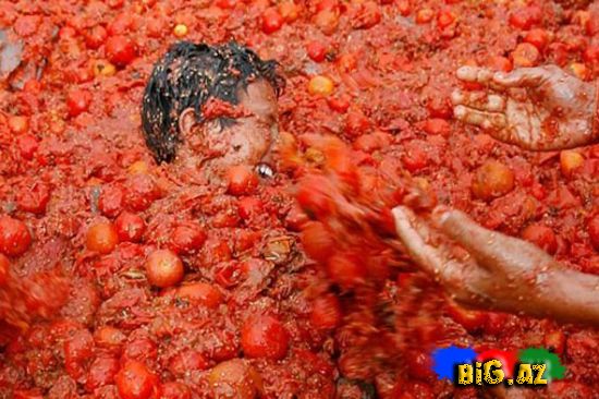 Çilidə pomidor döyüşü festivalından (Fotolar)
