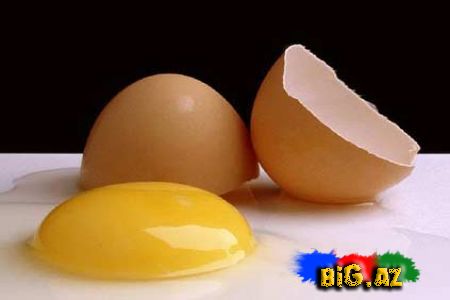 Yumurta ağının möcüzəsi