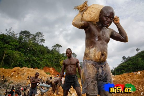 Qızıl haqqında maraqlı faktlar (Fotolar)