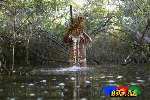 Amazon cəngəlliklərindən ilk görüntülər (Fotolar)