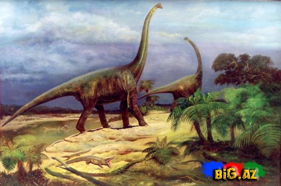 Yeni dinozavr növü tapıldı