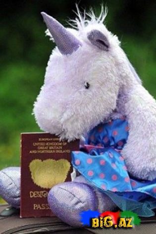 9 yaşlı qız saxta pasportla Türkiyəyə gedib qayıtdı (Fotolar)