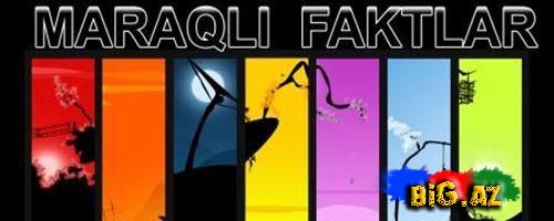 Ağaclar haqqında maraqlı faktlar