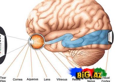 Qaranlıq və rəngsiz dünya
