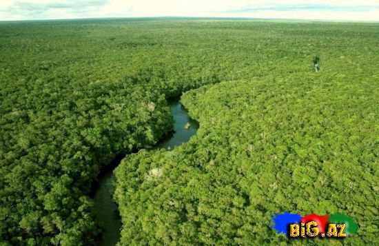 Amazon meşələrinə səyahət (Fotolar)