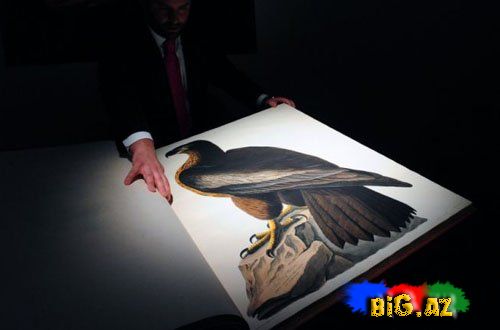 Dünyanın ən bahalı kitabı (Foto)