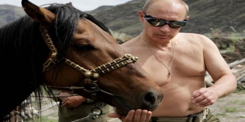 Putini heç belə görməmisiniz - Fotolar