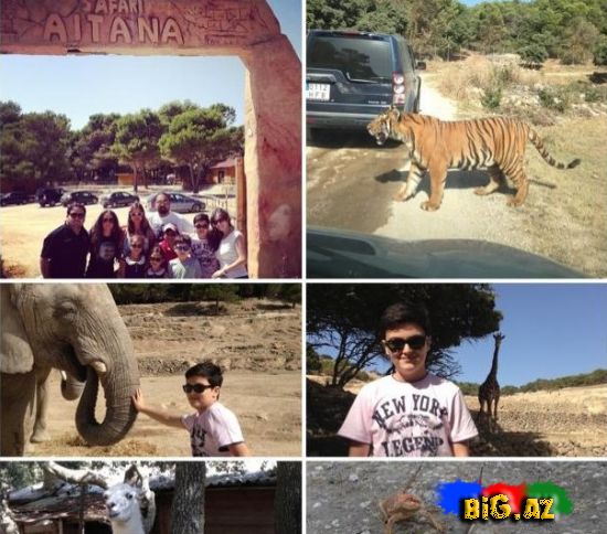 Keçmiş "KVN"çilər Safaridə - Fotolar