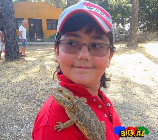 Keçmiş "KVN"çilər Safaridə - Fotolar