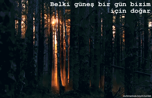 Həyat mənə qutularla Xoşbəxtlik borclusan!