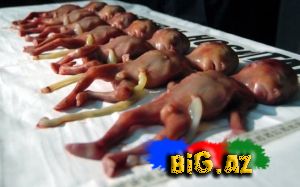 Abort olunmuş döllər kosmetik vasitələrin tərkibində istifadə olunur- Araşdırma.