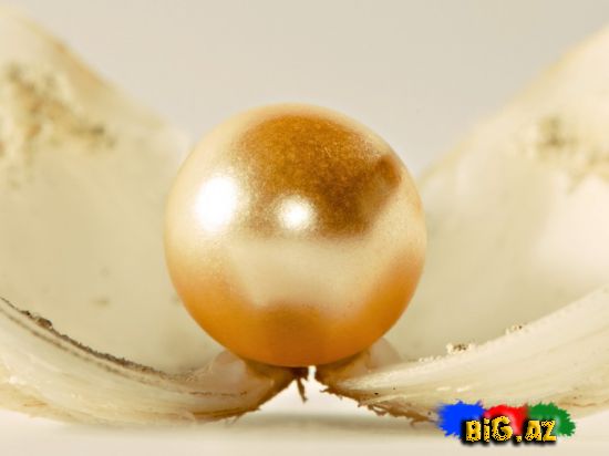 Mirvarilərin yaranması və xüsusiyyətləri