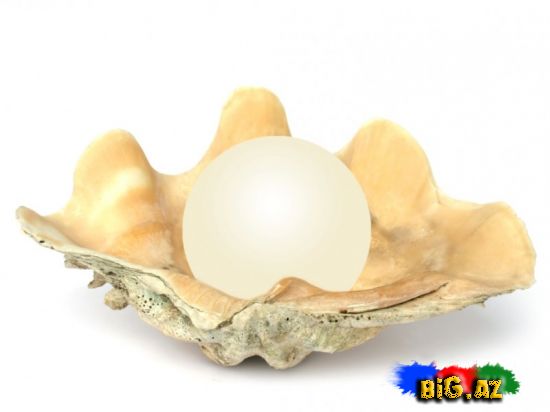 Mirvarilərin yaranması və xüsusiyyətləri