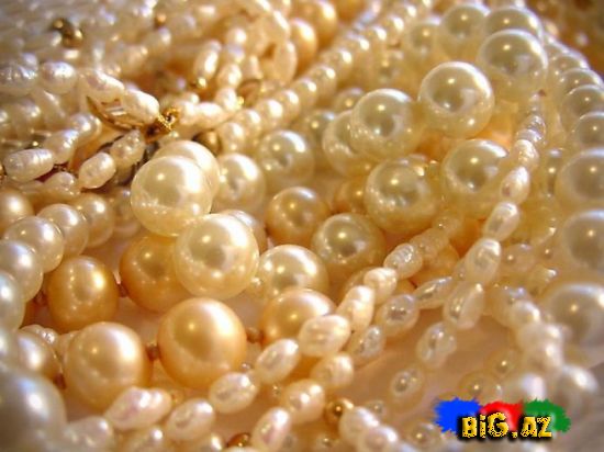 Mirvarilərin yaranması və xüsusiyyətləri