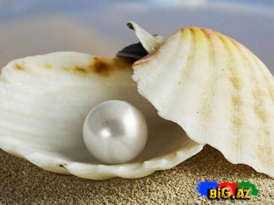 Mirvarilərin yaranması və xüsusiyyətləri