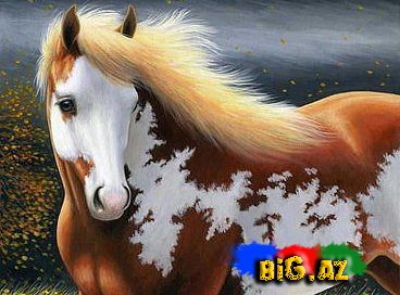 Atların qeyri-adi bacarığı - VİDEO