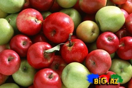 Alma haqqında bilmədiklərimiz