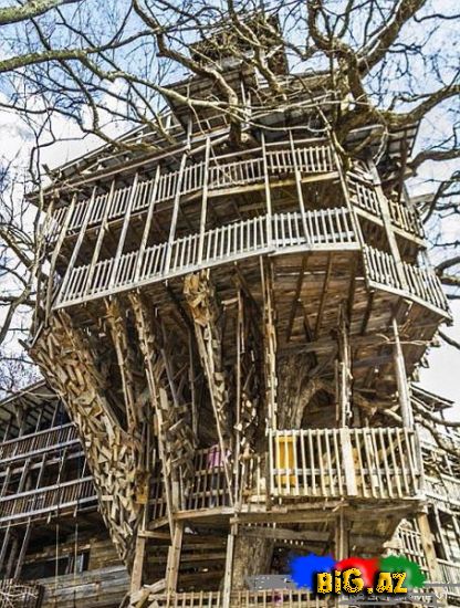 Ən böyük ağac ev - FOTO