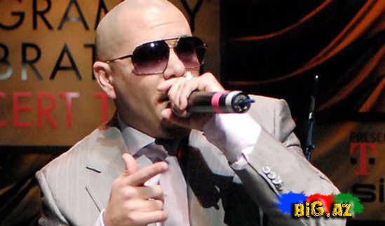 Pitbull haqqında maraqlı faktlar və - FOTO