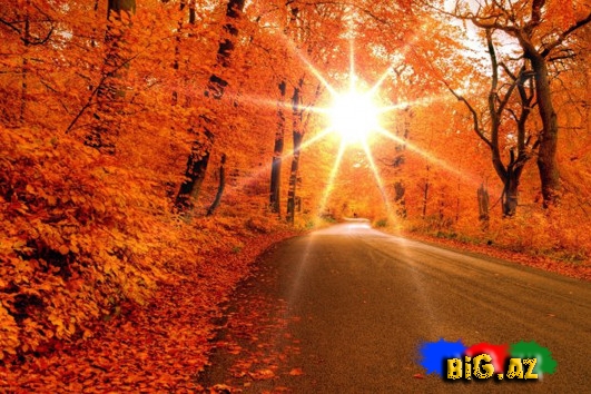 Zövqünüzü oxşayacaq mükəmməl mənzərələr - FOTO