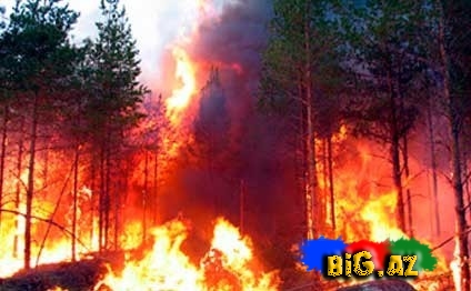 Lerikdəki meşə yanğınları söndürüldü